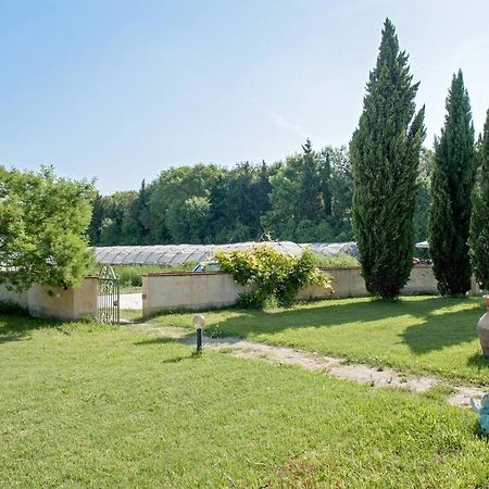 B&B Casa Betulla Pisa Eksteriør billede