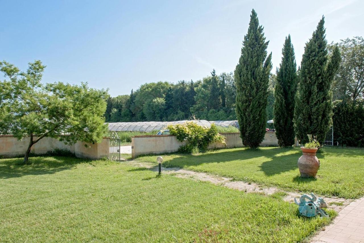 B&B Casa Betulla Pisa Eksteriør billede